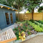 Beds of evergreen shruns and a blue painted shed at Age UK Croydon's Alan Titchmarsh garden in Thornton Heath