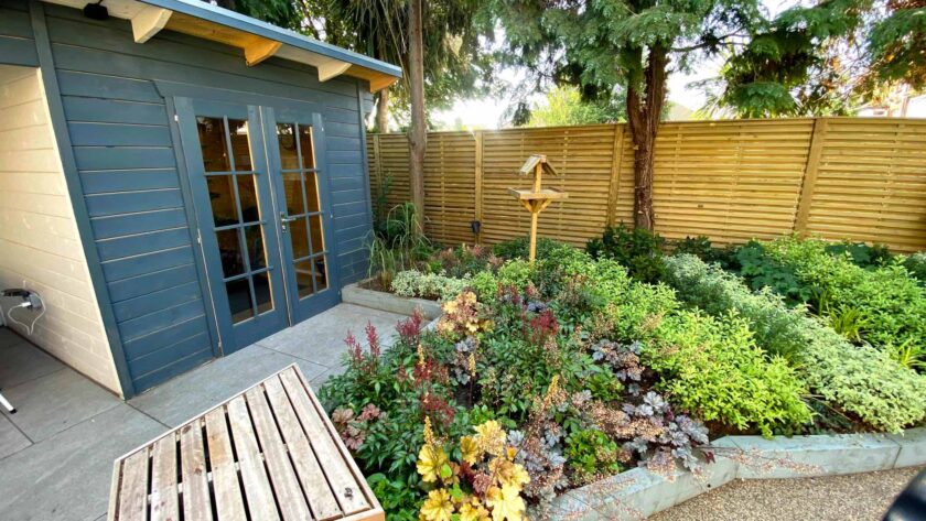 Beds of evergreen shruns and a blue painted shed at Age UK Croydon's Alan Titchmarsh garden in Thornton Heath