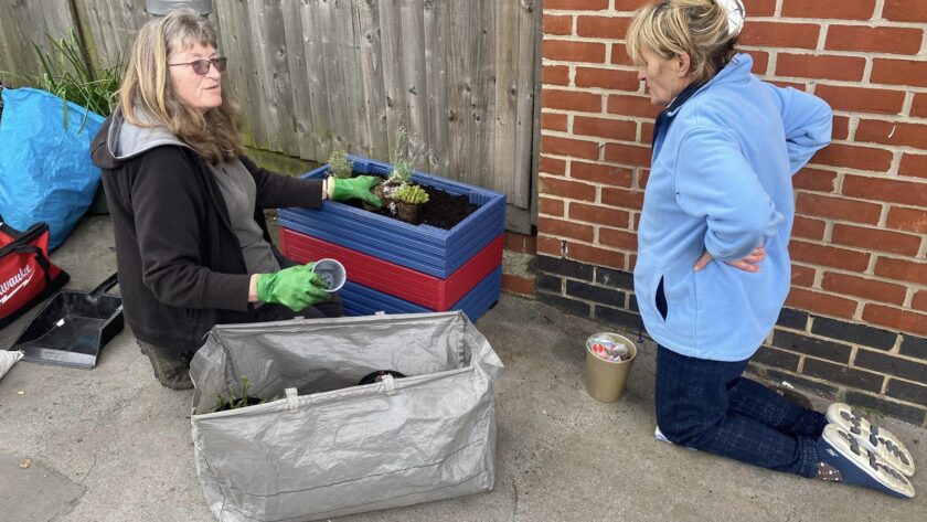 Two ladies planting a red and blue planter on a thornton heath pavement