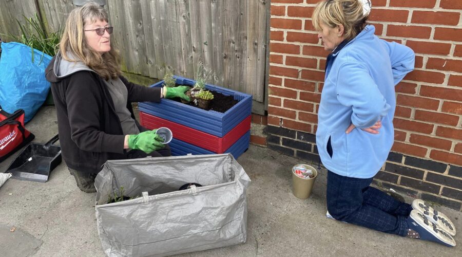 Two ladies planting a red and blue planter on a thornton heath pavement